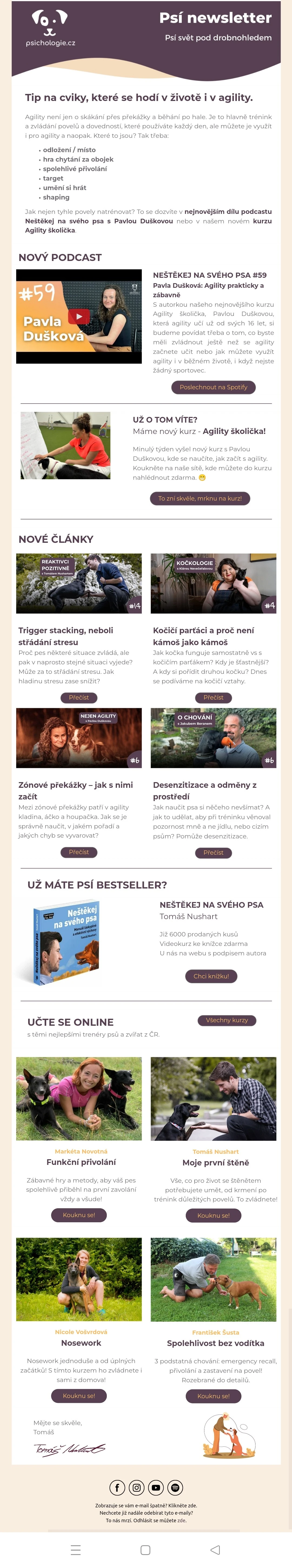 Ukázka newsletteru pro projekt Psichologie